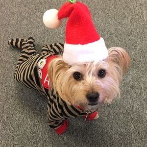 Meet your Posher, Paula